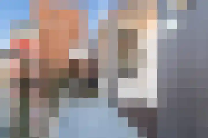 Koude Horn 145 Beverwijk thumbnail 51