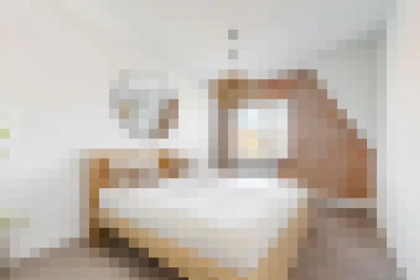 Koude Horn 157 Beverwijk thumbnail 14