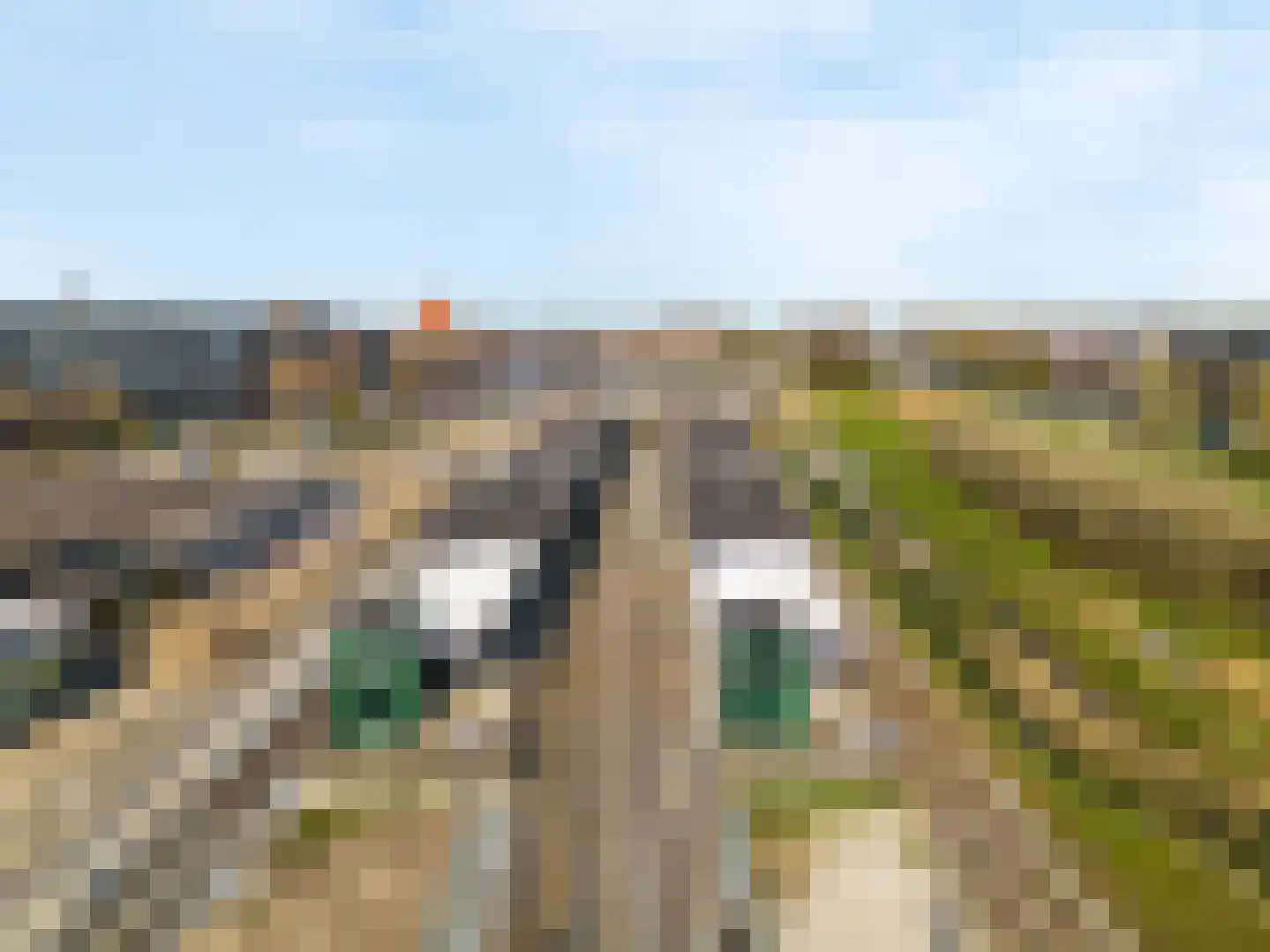 Koude Horn 157 Beverwijk thumbnail 27