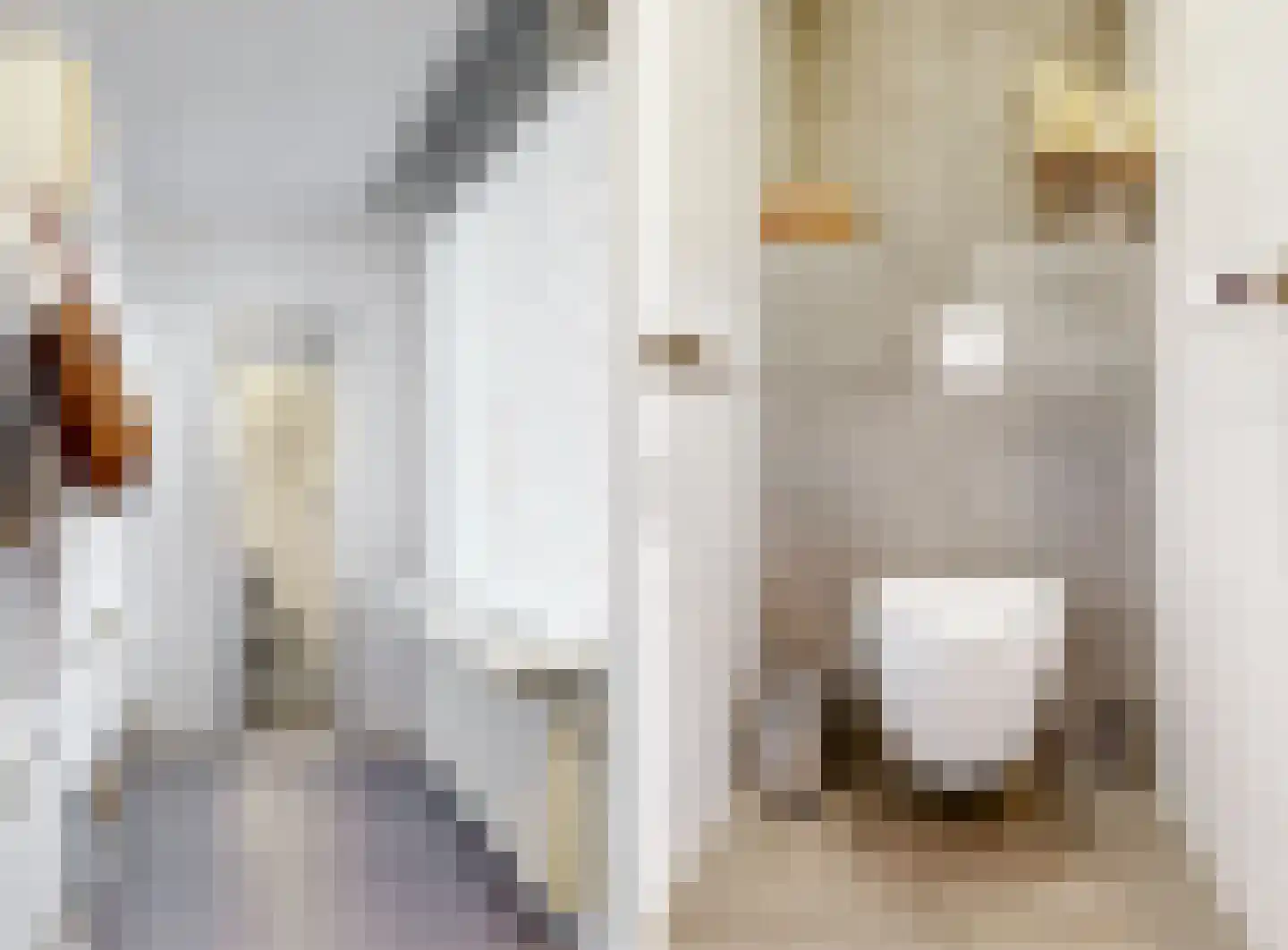 Koude Horn 157 Beverwijk thumbnail 7