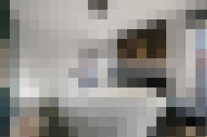 Koude Horn 17 Beverwijk thumbnail 17