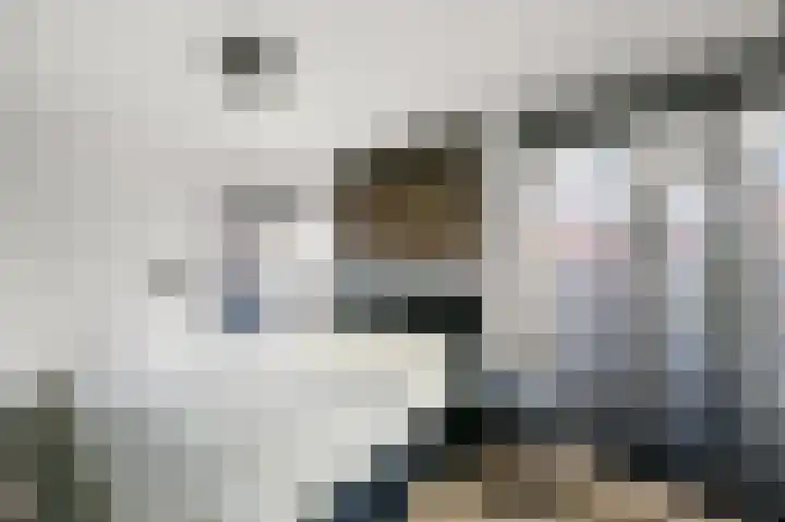 Koude Horn 17 Beverwijk thumbnail 19