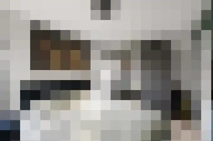 Koude Horn 17 Beverwijk thumbnail 21