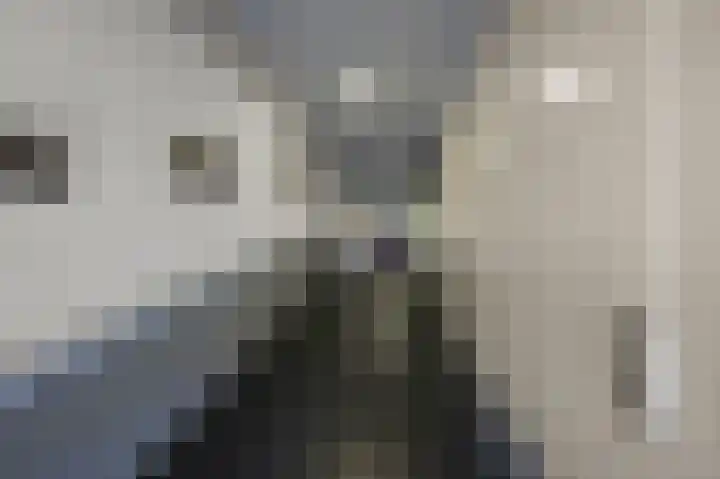 Koude Horn 17 Beverwijk thumbnail 24
