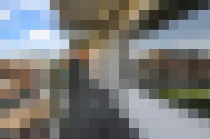 Koude Horn 17 Beverwijk thumbnail 27
