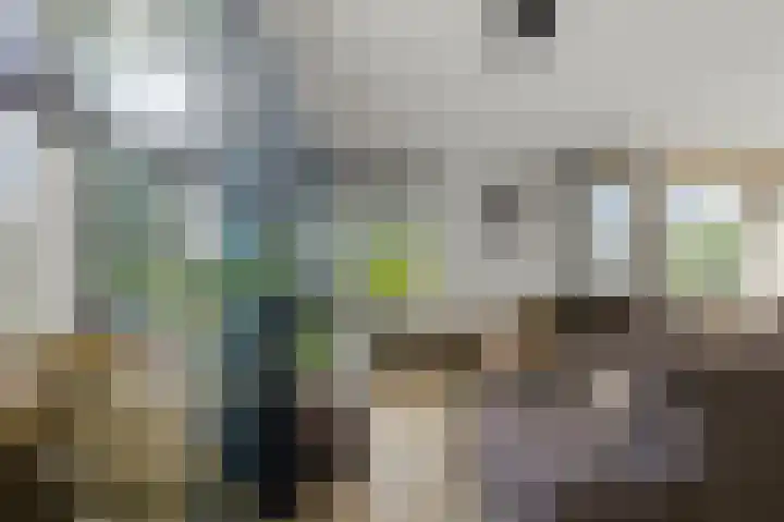 Koude Horn 17 Beverwijk thumbnail 7