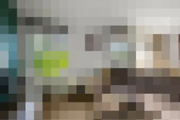 Koude Horn 17 Beverwijk thumbnail 8
