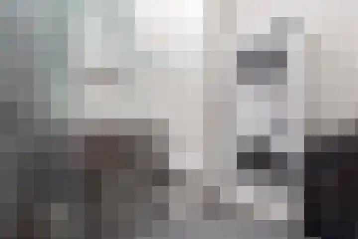 Koude Horn 45 Beverwijk thumbnail 24
