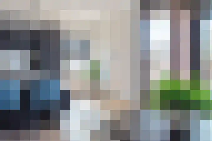 Koude Horn 45 Beverwijk thumbnail 9