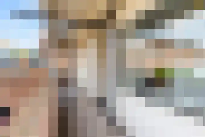 Koude Horn 5 Beverwijk thumbnail 12
