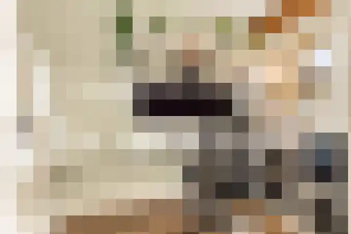 Koude Horn 5 Beverwijk thumbnail 35