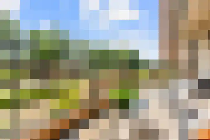 Koude Horn 5 Beverwijk thumbnail 39