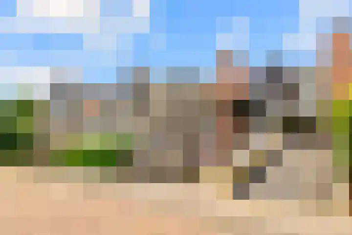 Koude Horn 5 Beverwijk thumbnail 47