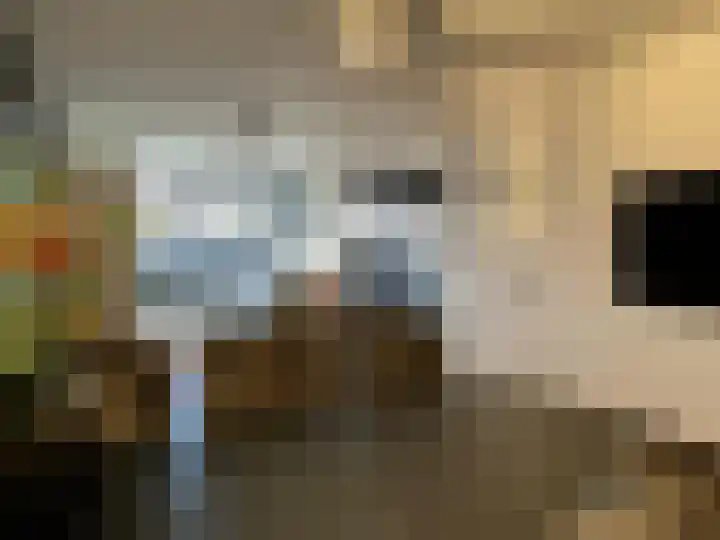 Koude Horn 65 Beverwijk thumbnail 6