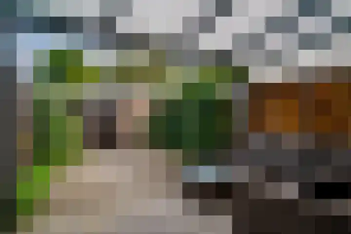 Koudekerkepad 10 Arnhem thumbnail 19