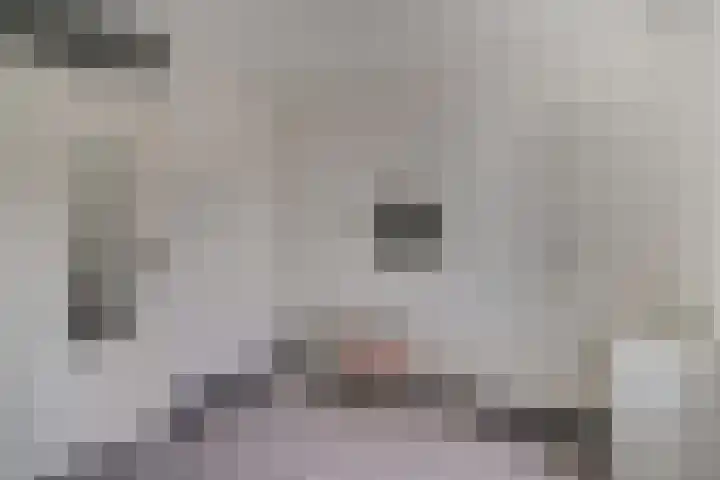 Koudekerkepad 10 Arnhem thumbnail 25