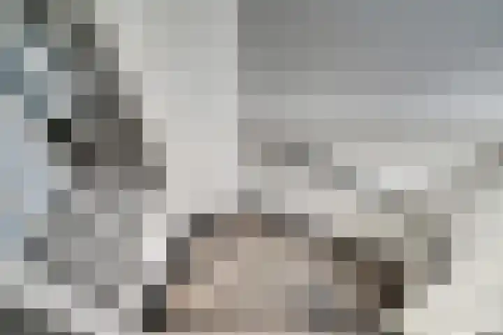 Koudekerkepad 10 Arnhem thumbnail 34