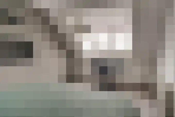 Koudekerkepad 10 Arnhem thumbnail 38
