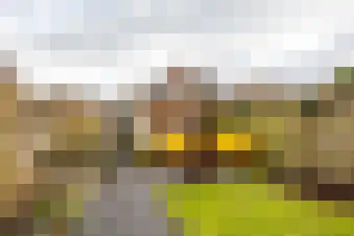 Koudekerkepad 10 Arnhem thumbnail 8