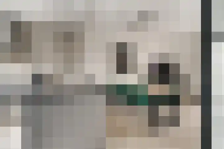 Koudekerkepad 10 Arnhem thumbnail 8