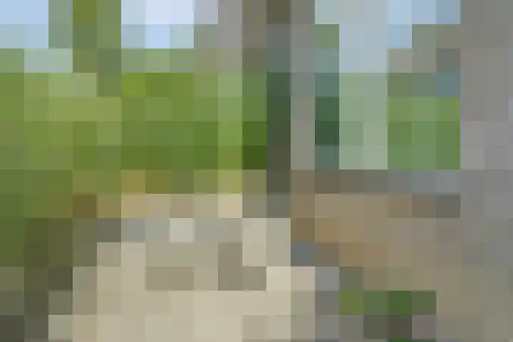Koudekerkepad 2 Arnhem thumbnail 28