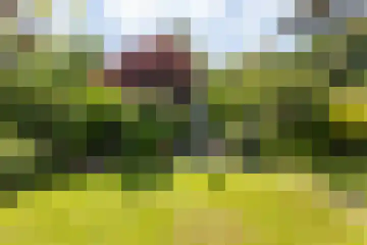 Koudekerkseweg 11 Middelburg thumbnail 31