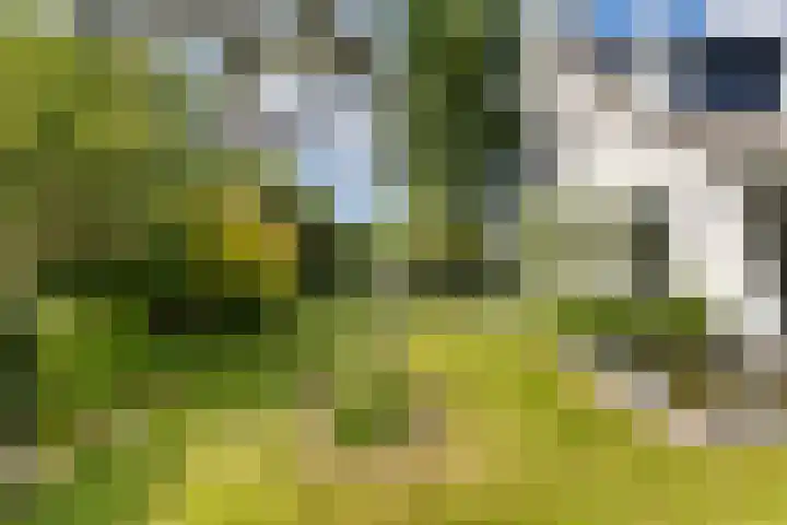 Koudekerkseweg 11 Middelburg thumbnail 32