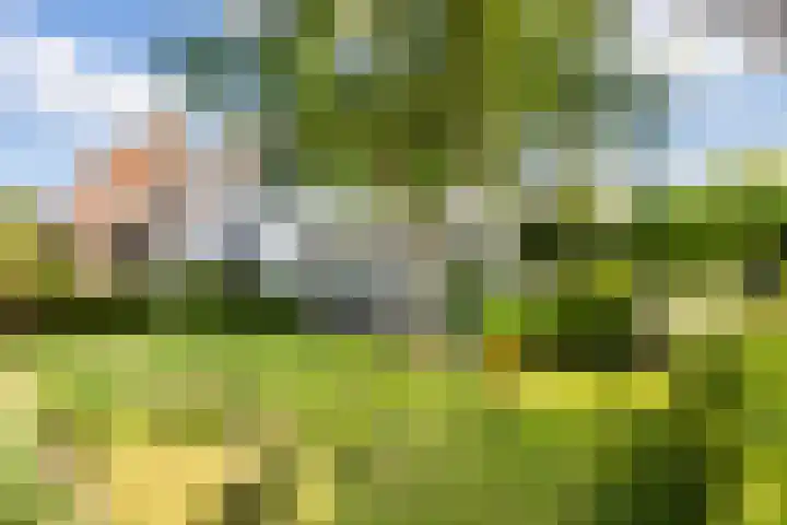 Koudekerkseweg 11 Middelburg thumbnail 9