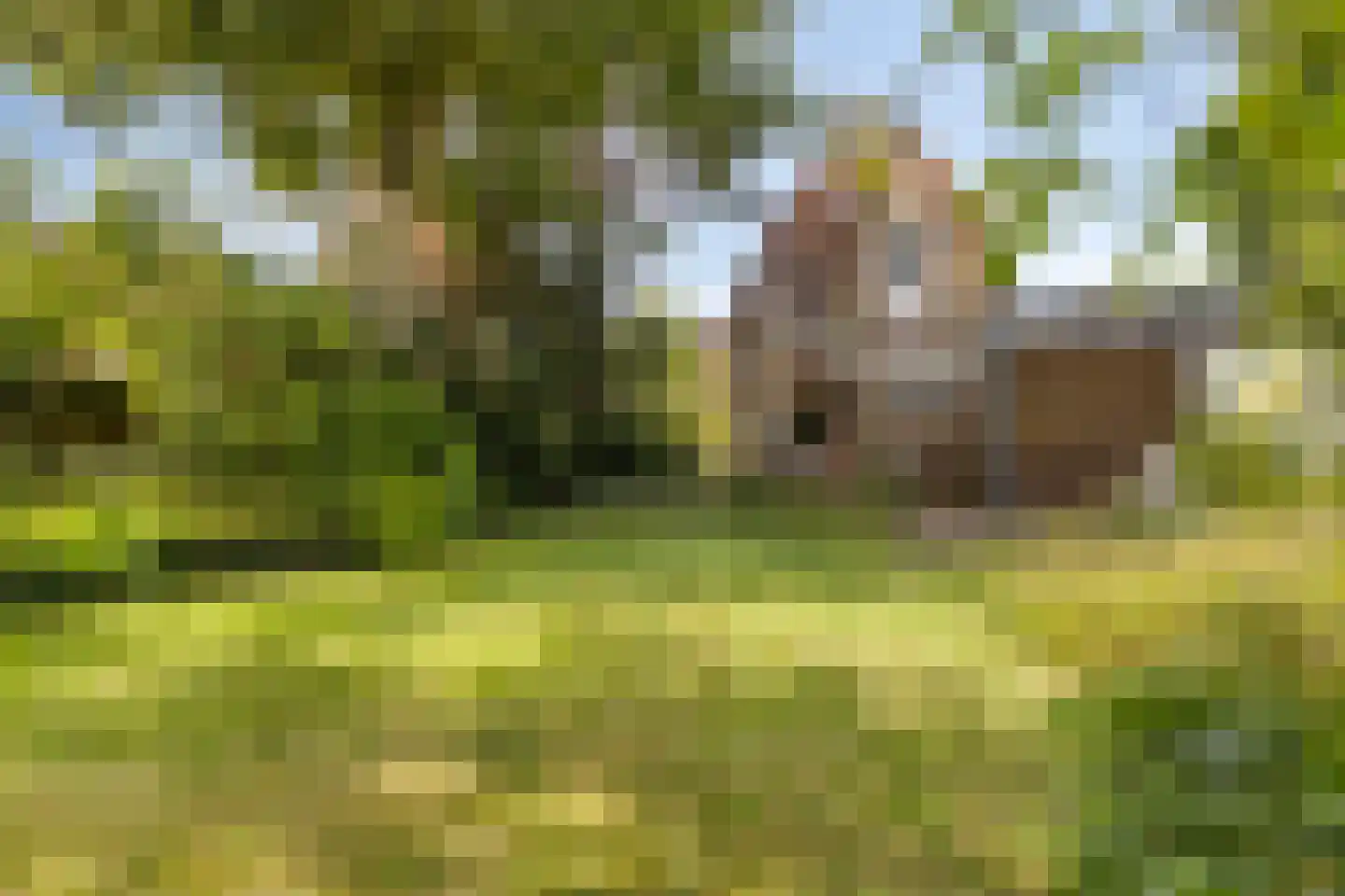 Koudekerkseweg 150 Vlissingen thumbnail 34