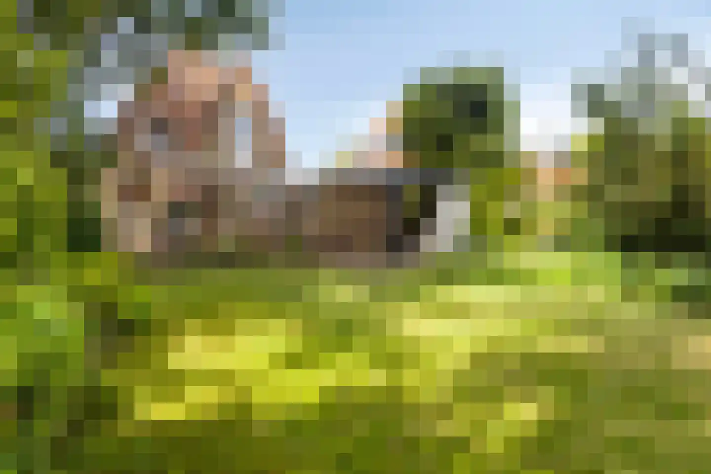 Koudekerkseweg 150 Vlissingen thumbnail 35
