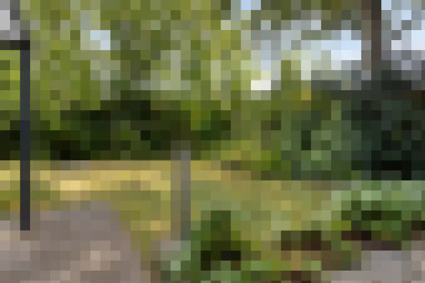 Koudekerkseweg 150 Vlissingen thumbnail 36
