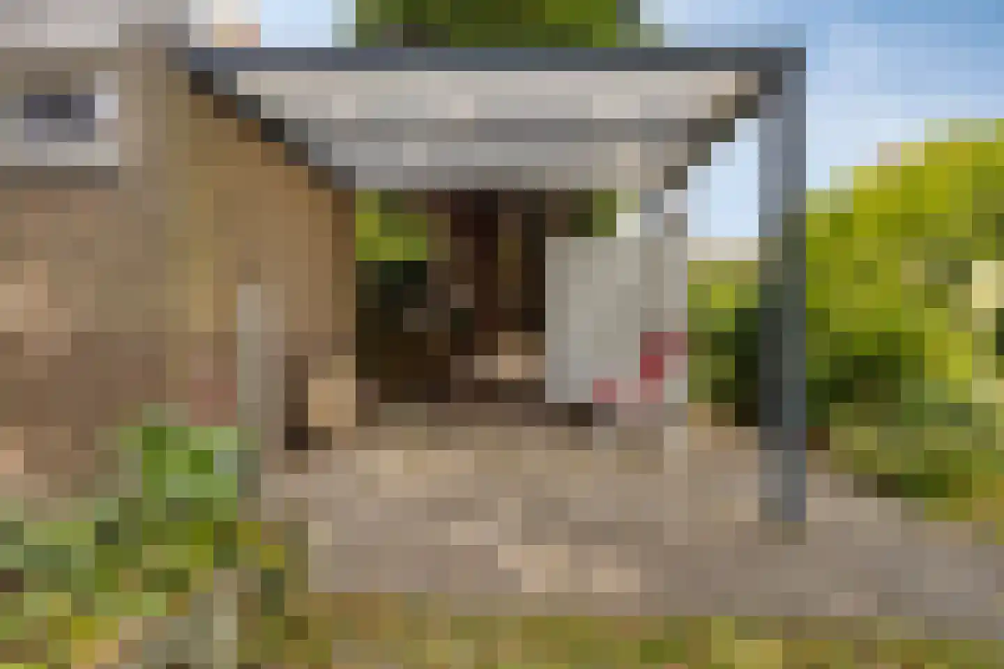 Koudekerkseweg 150 Vlissingen thumbnail 39