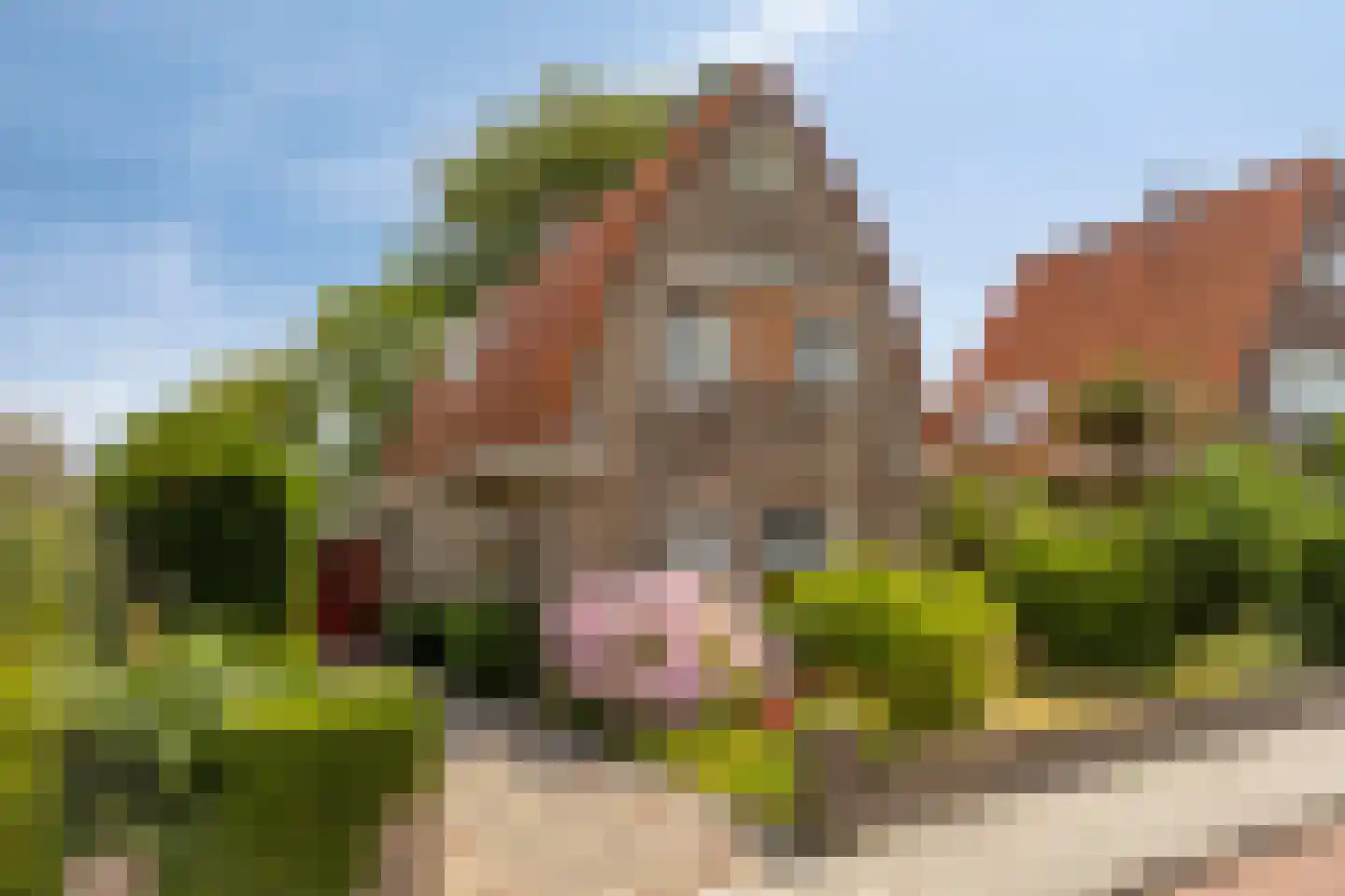 Koudekerkseweg 150 Vlissingen thumbnail 4