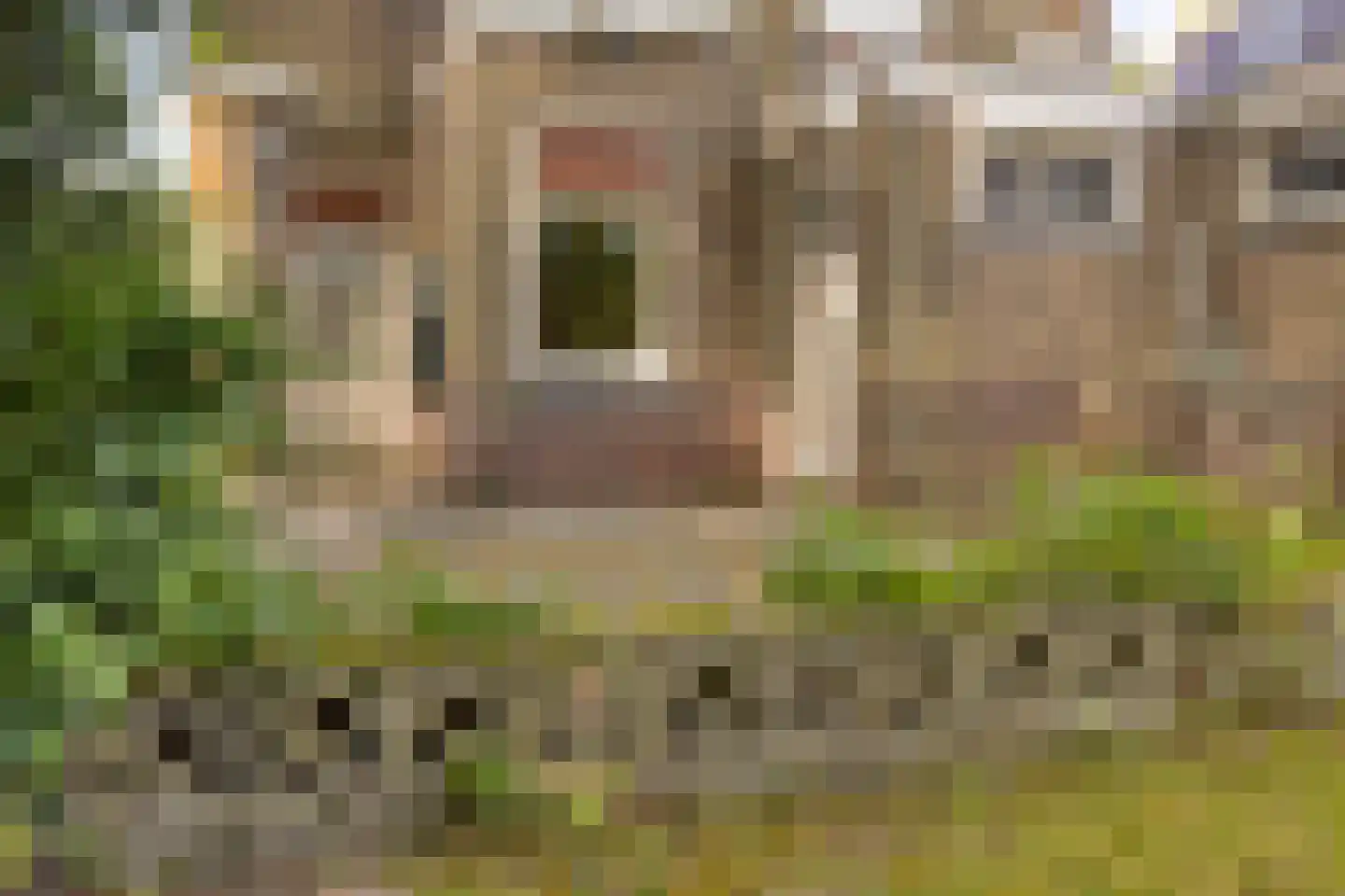 Koudekerkseweg 150 Vlissingen thumbnail 40