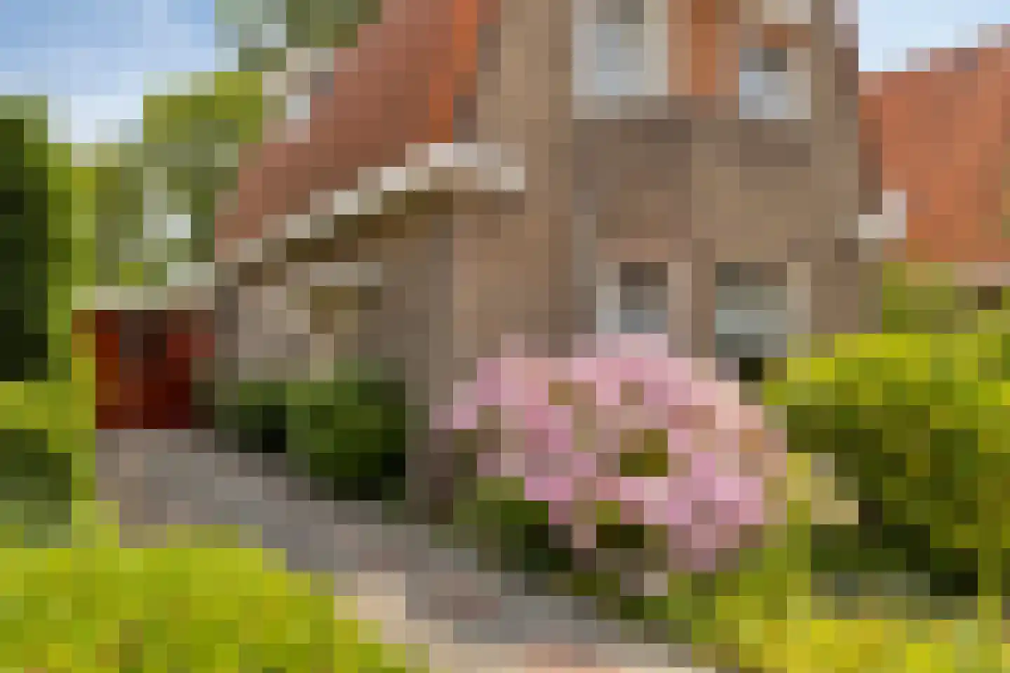 Koudekerkseweg 150 Vlissingen thumbnail 8
