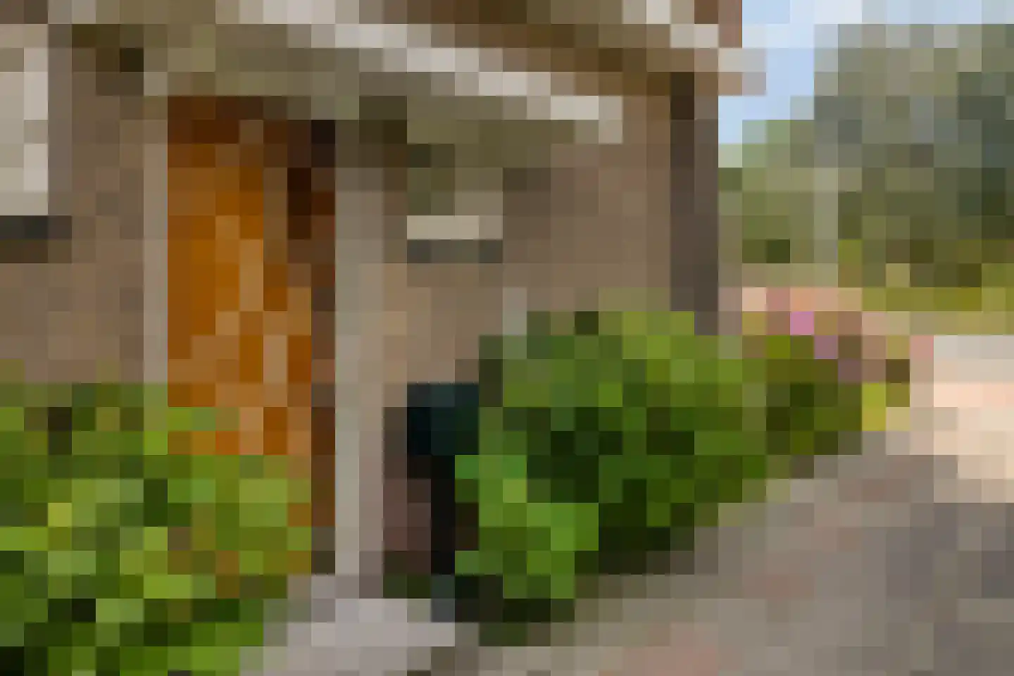 Koudekerkseweg 150 Vlissingen thumbnail 9