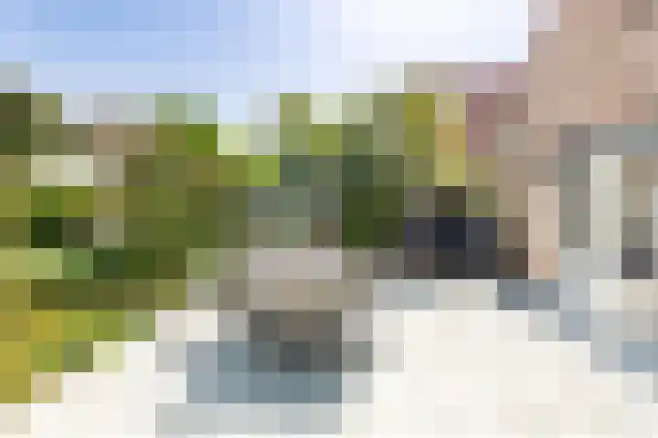 Koudekerkseweg 154 Vlissingen thumbnail 38