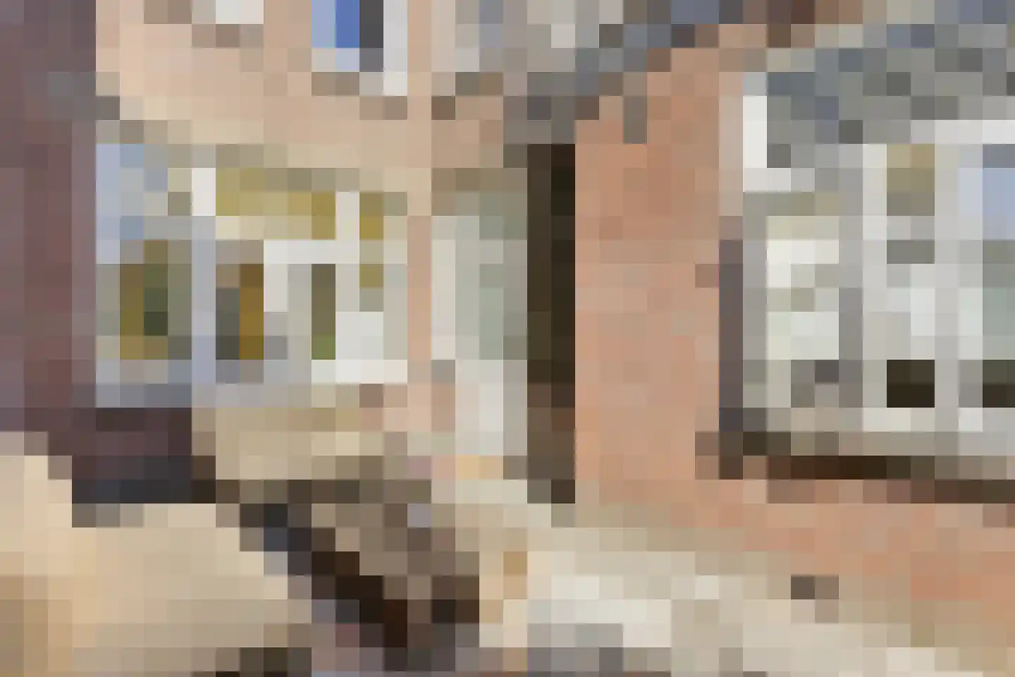 Koudekerkseweg 70 Vlissingen thumbnail 34