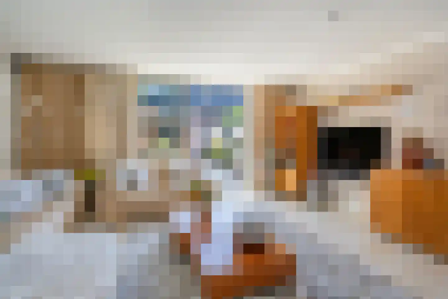 Koudekerkstraat 5 Zoetermeer thumbnail 10