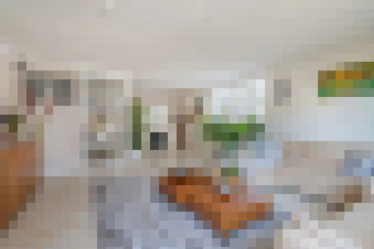 Koudekerkstraat 5 Zoetermeer thumbnail 14