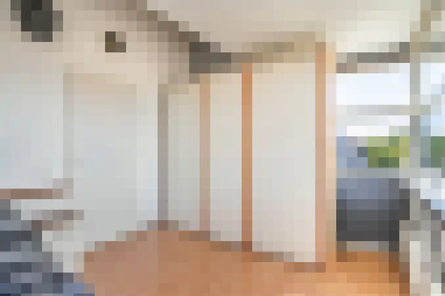 Koudekerkstraat 5 Zoetermeer thumbnail 41