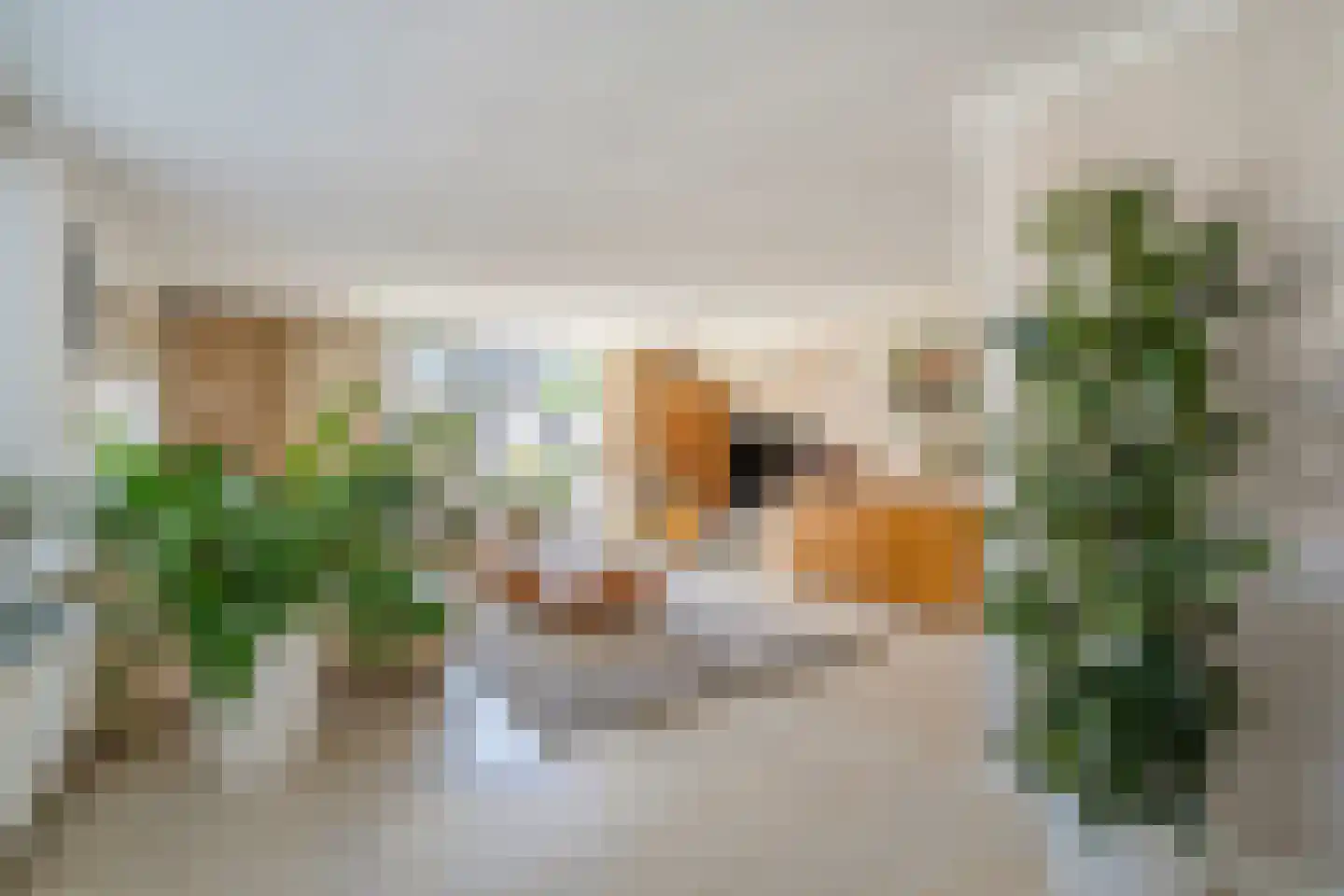 Koudekerkstraat 5 Zoetermeer thumbnail 9