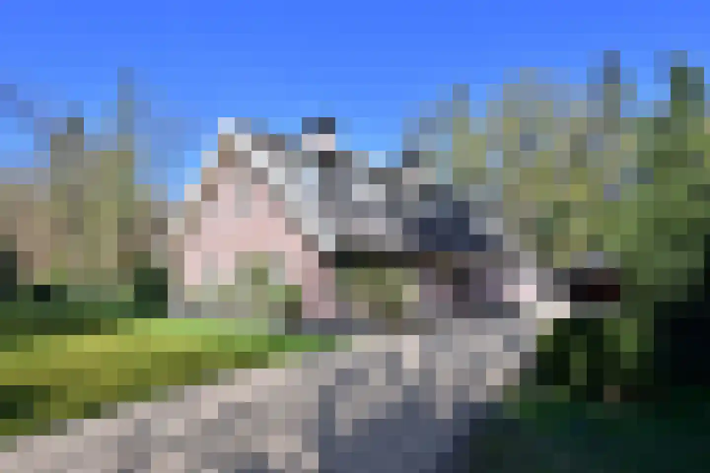 Koudelaan 14 A Lage Vuursche