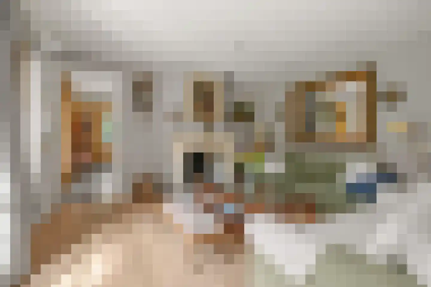 Koudelaan 14 A Lage Vuursche thumbnail 11