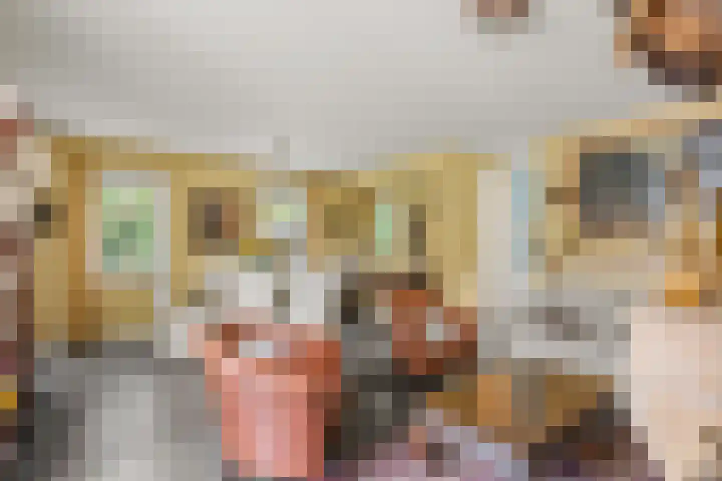 Koudelaan 14 A Lage Vuursche thumbnail 12