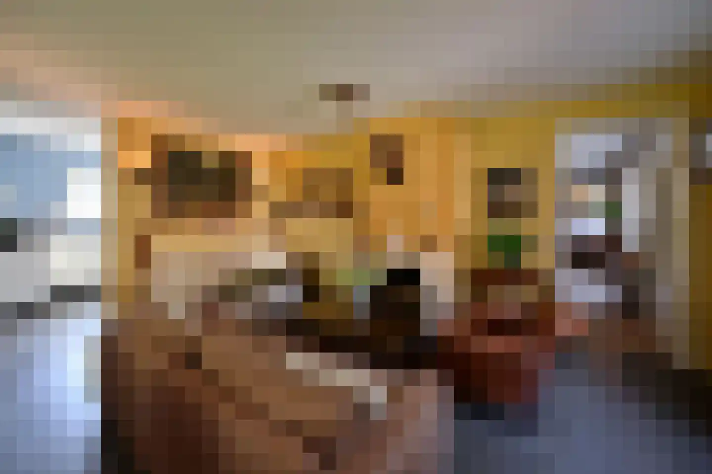 Koudelaan 14 A Lage Vuursche thumbnail 15
