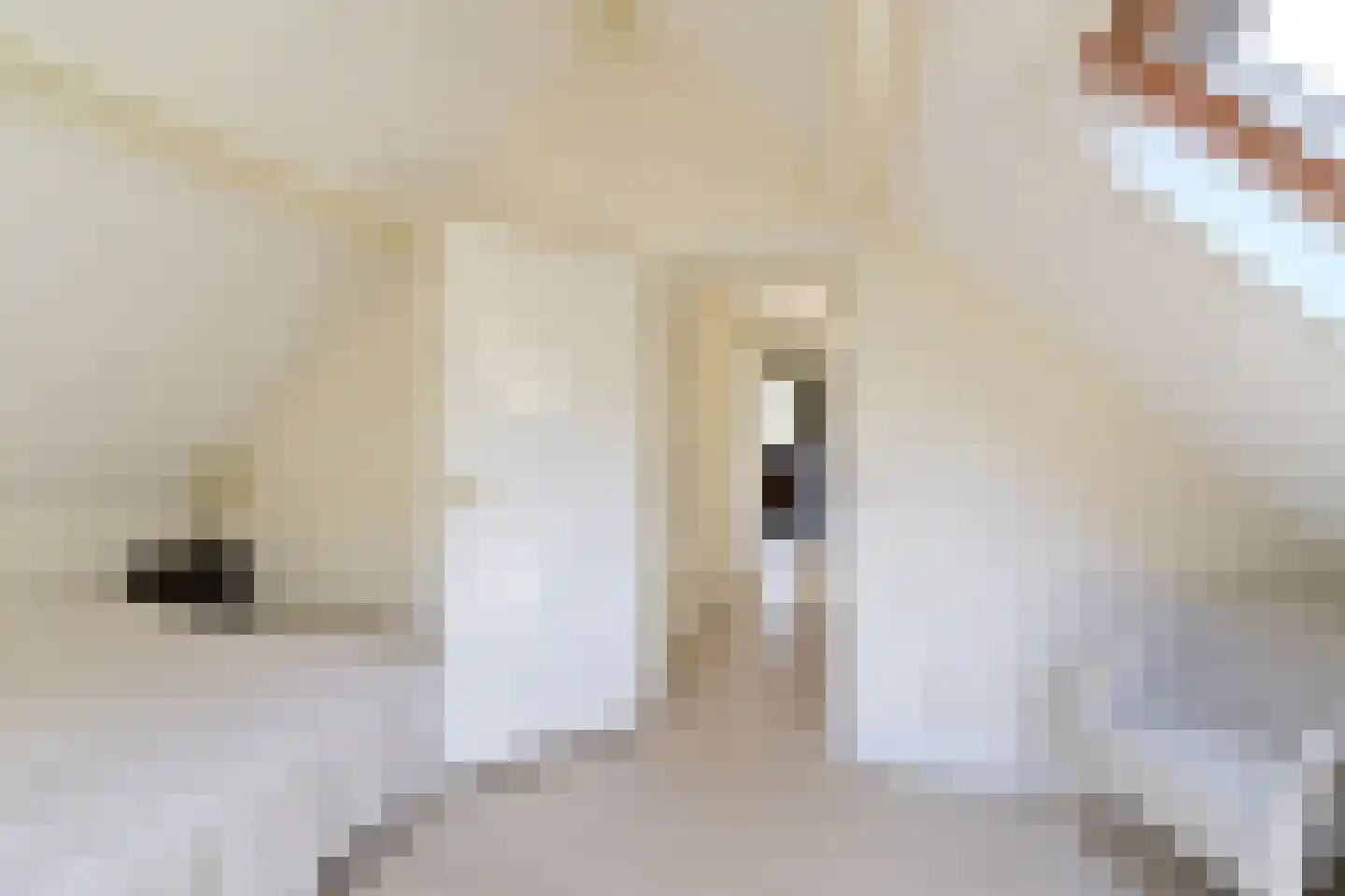 Koudelaan 14 A Lage Vuursche thumbnail 33