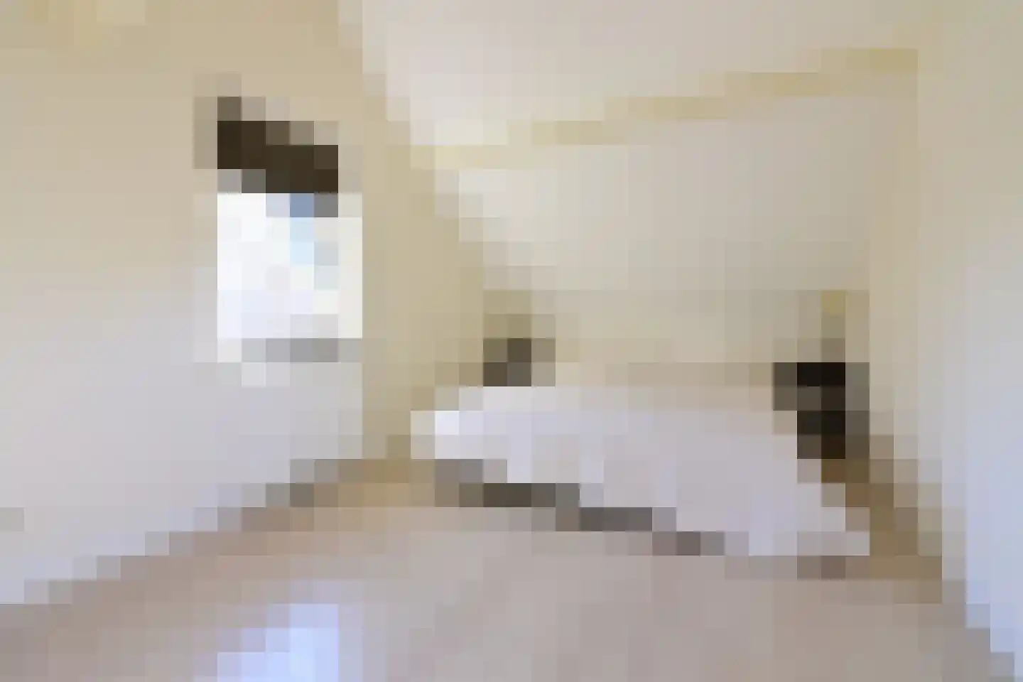 Koudelaan 14 A Lage Vuursche thumbnail 34