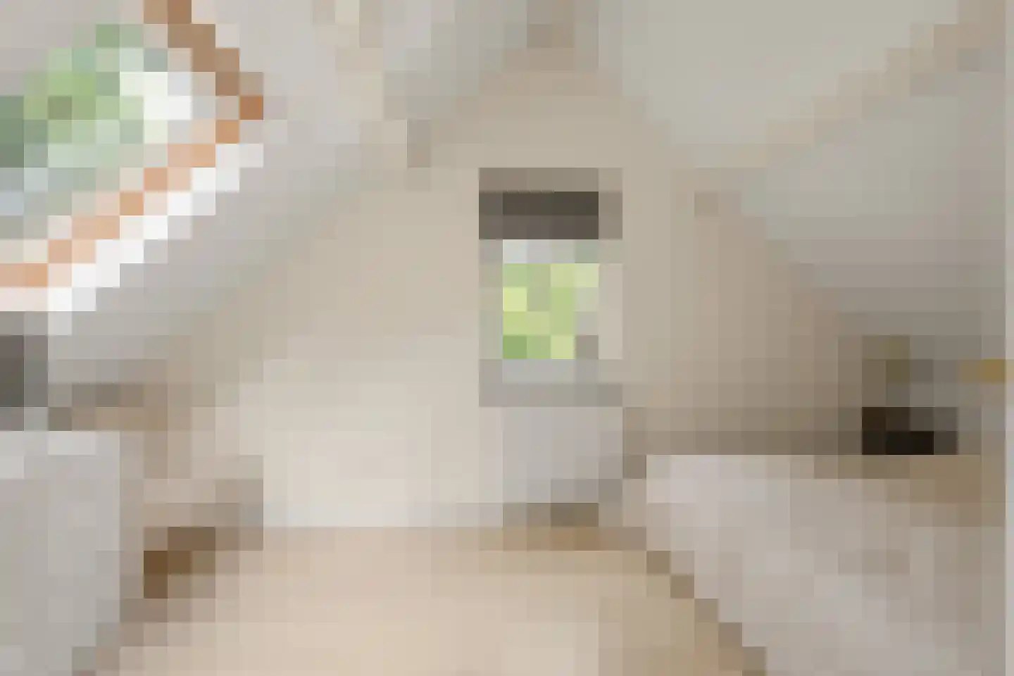 Koudelaan 14 A Lage Vuursche thumbnail 39