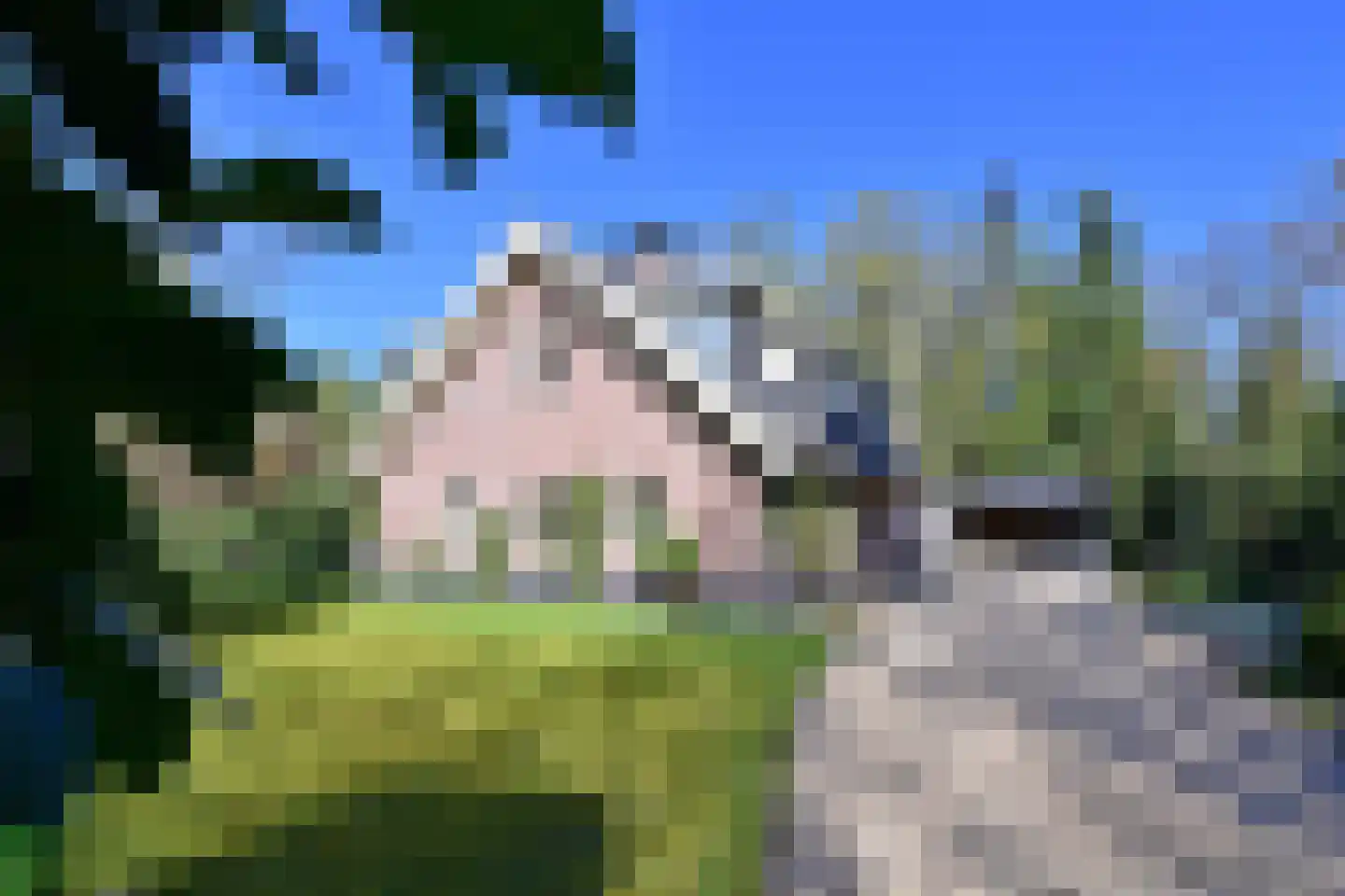 Koudelaan 14 A Lage Vuursche thumbnail 44